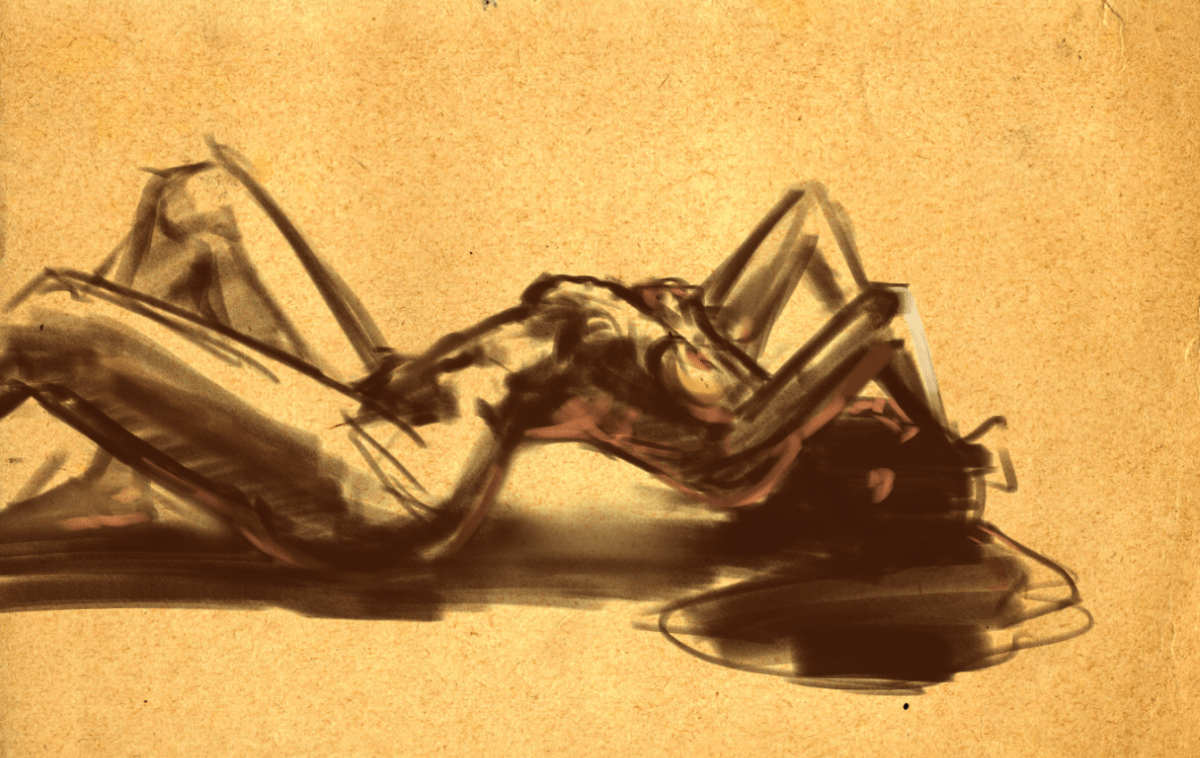 Digital Figure Drawing Tool Session